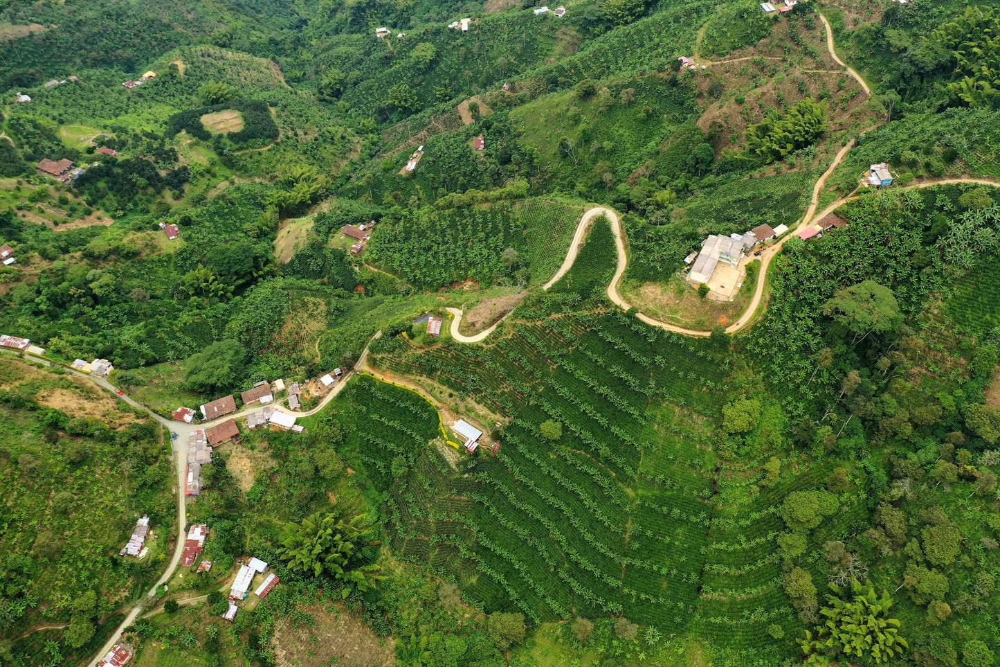 Colombia Anserma