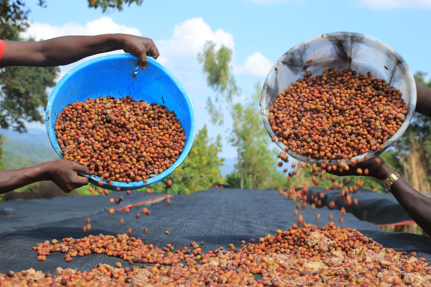 Ethiopia LALESA