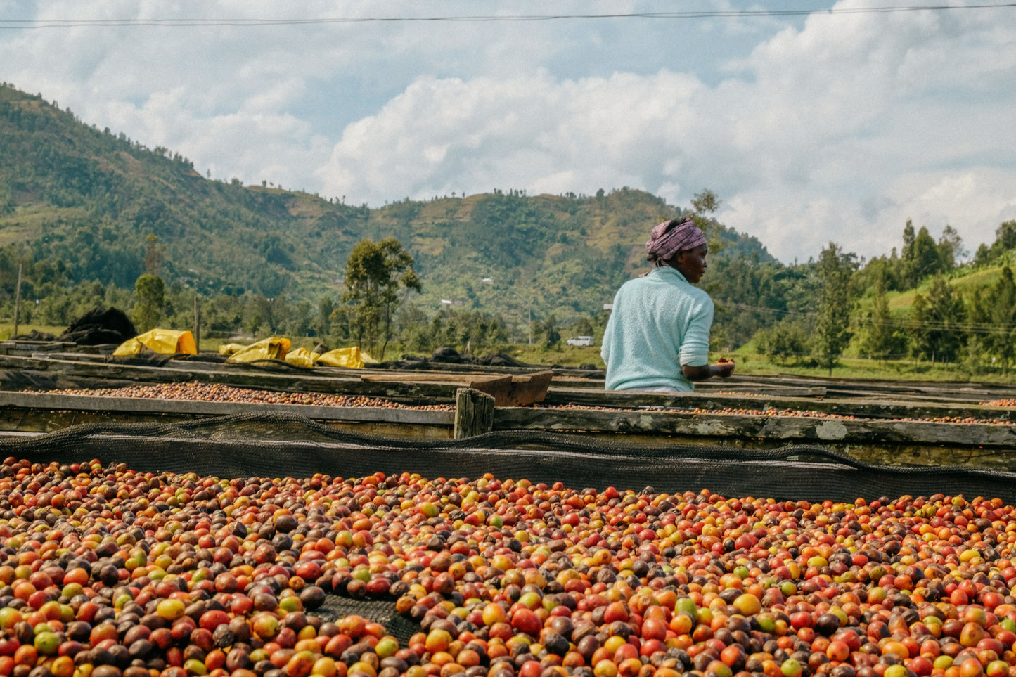 Rwanda Kirambo 123