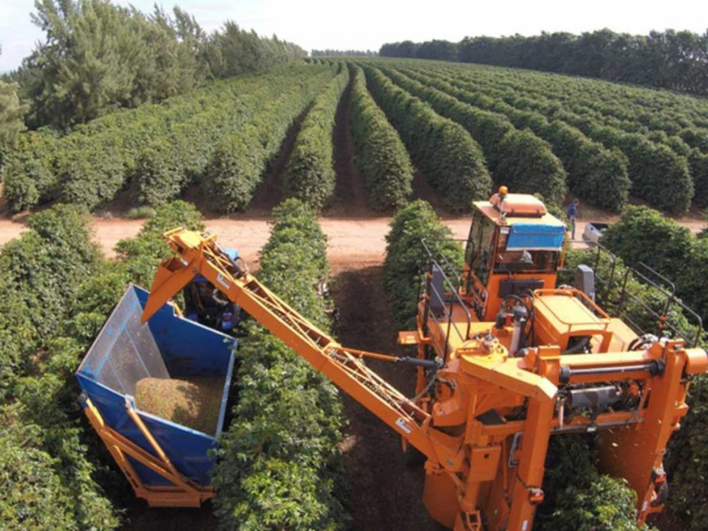 Brazil SARAVÁ