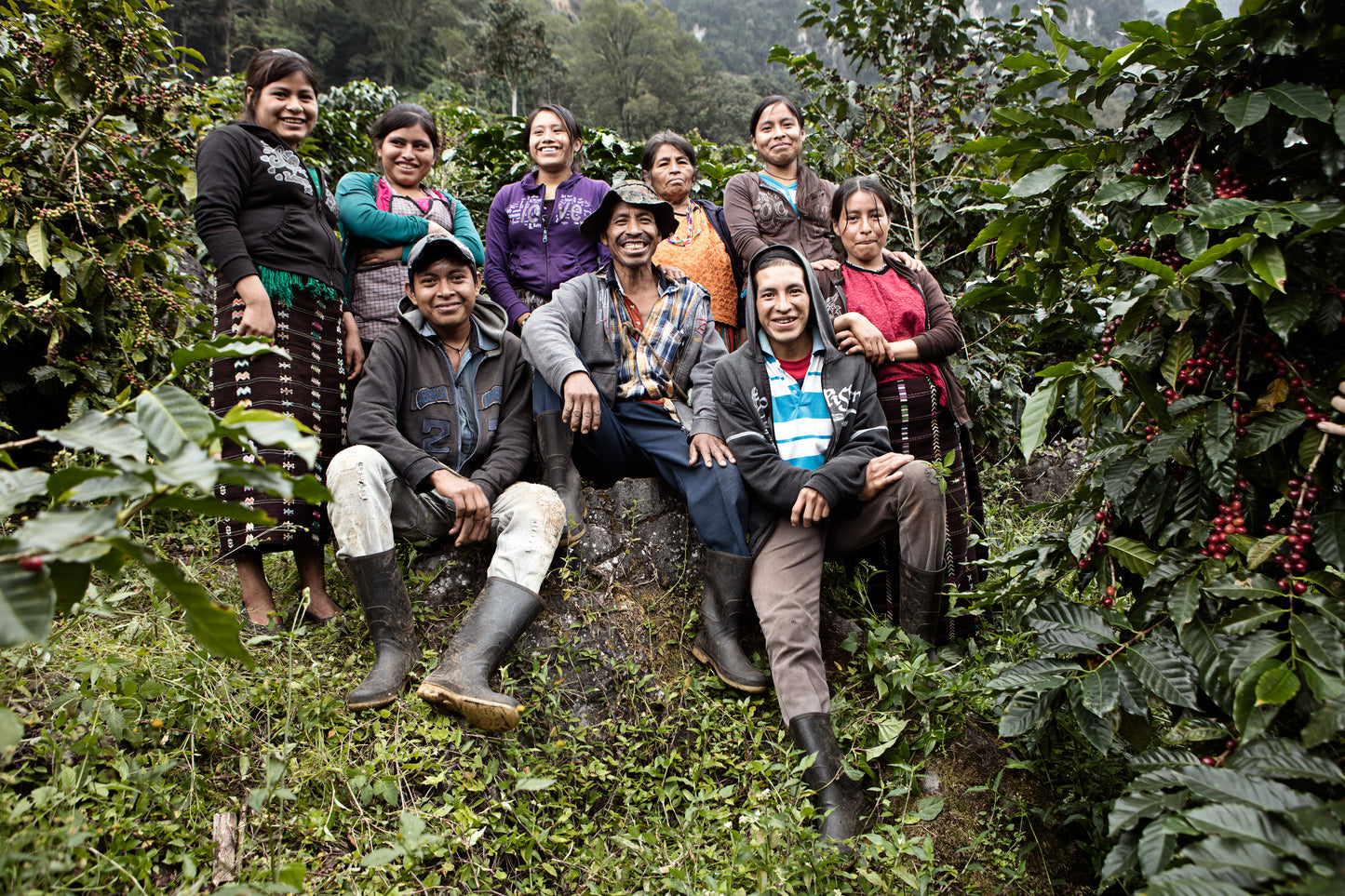 Guatemala La Bolsa (Rainforest Alliance Certification)