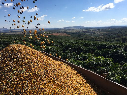 Seasonal Brazil