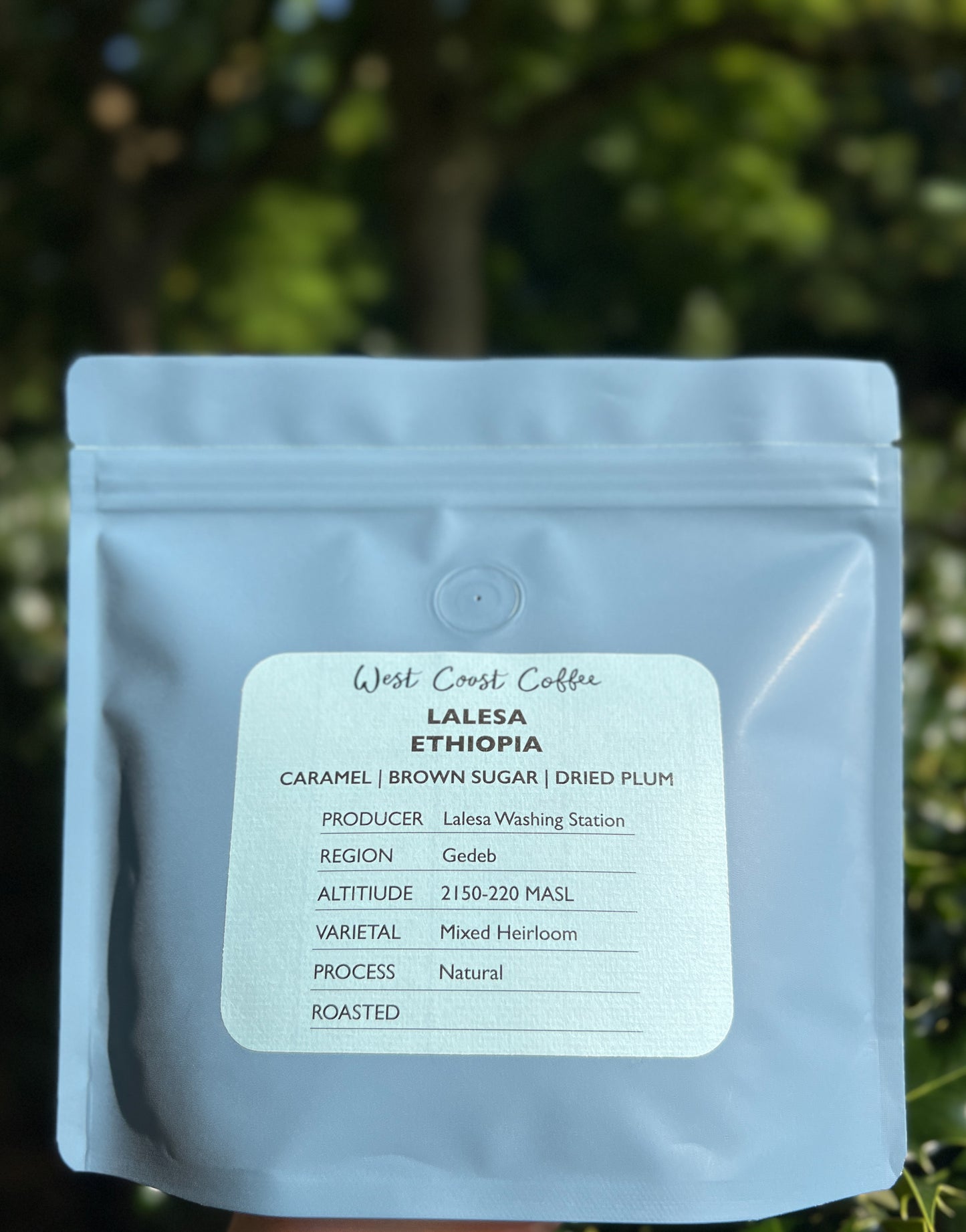 Ethiopia Lalesa