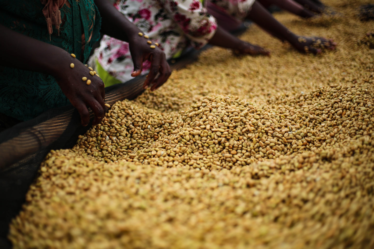 Ethiopia GOTITI