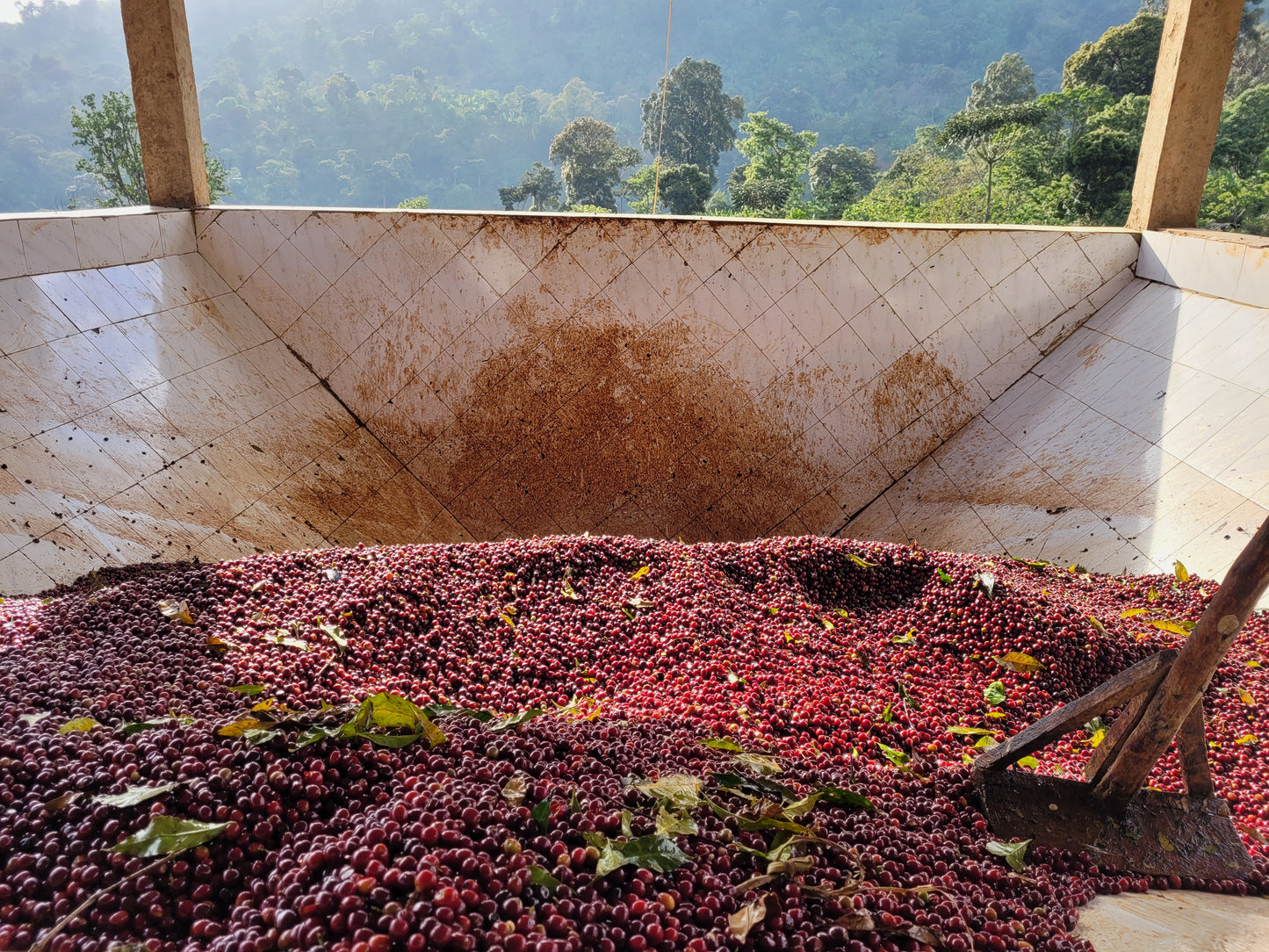 Ethiopia GOTITI