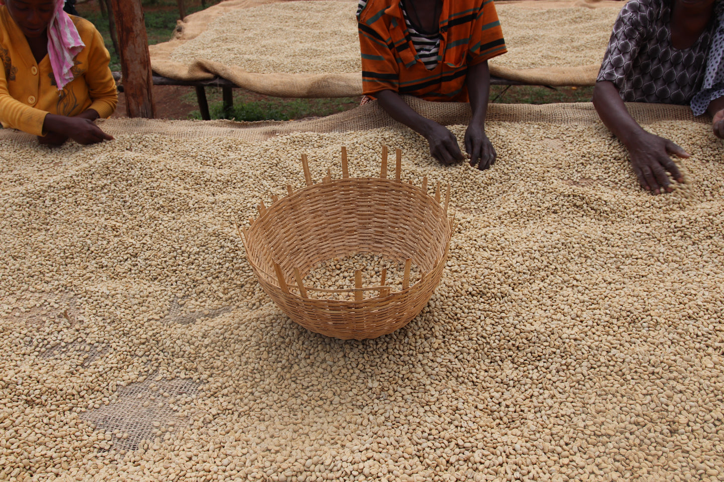 Ethiopia GOTITI