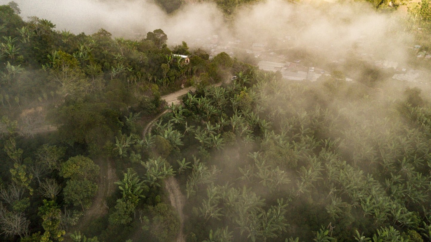 Costa Rica Alba