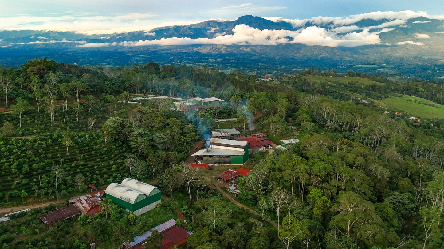 Costa Rica Alba