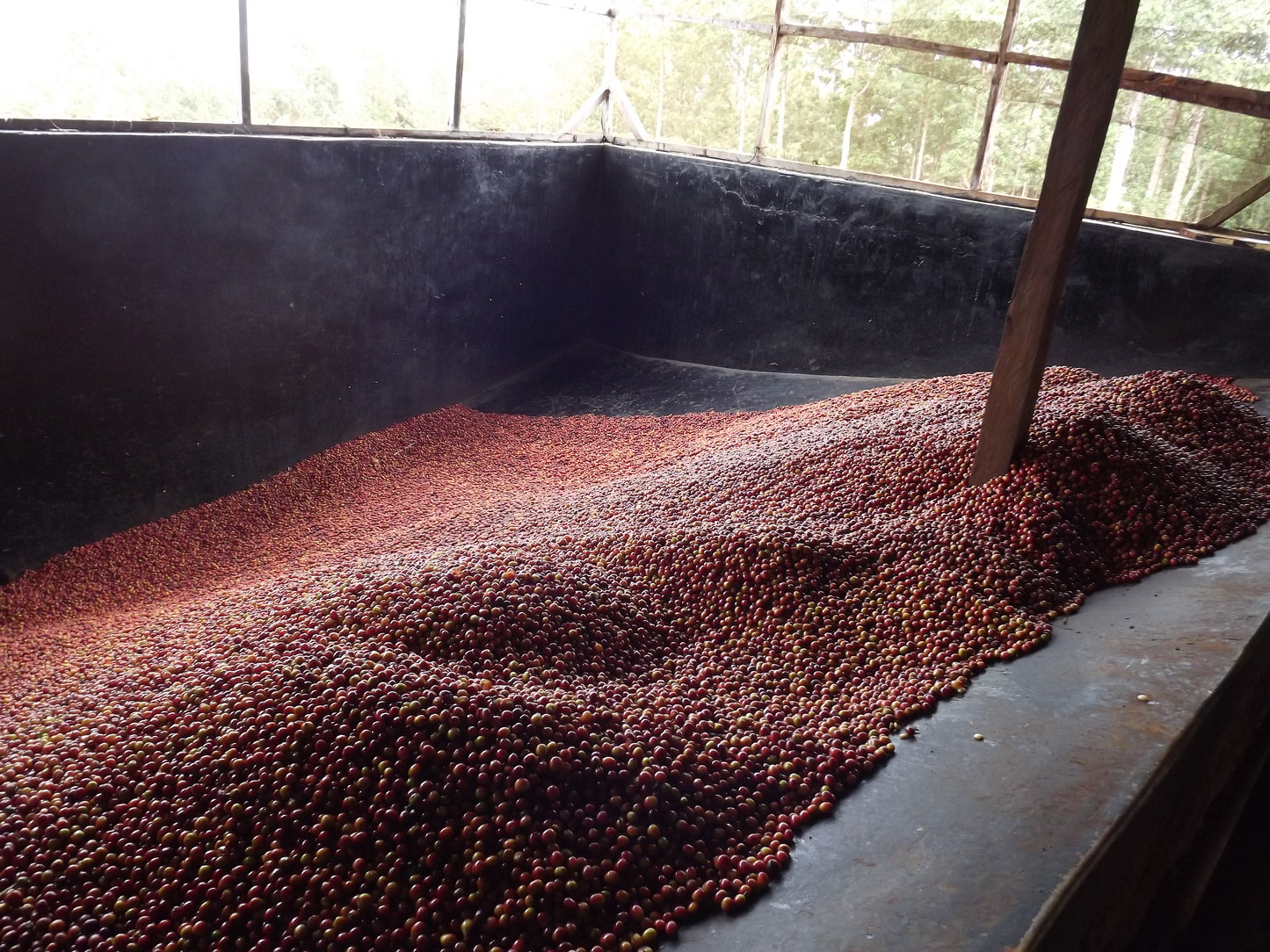 Kenya Gachatha AB