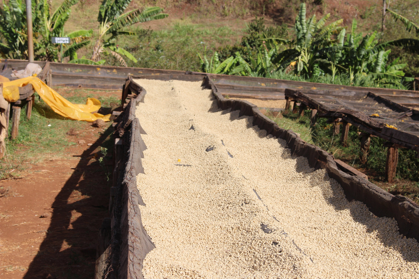 Kenya Gachatha AB