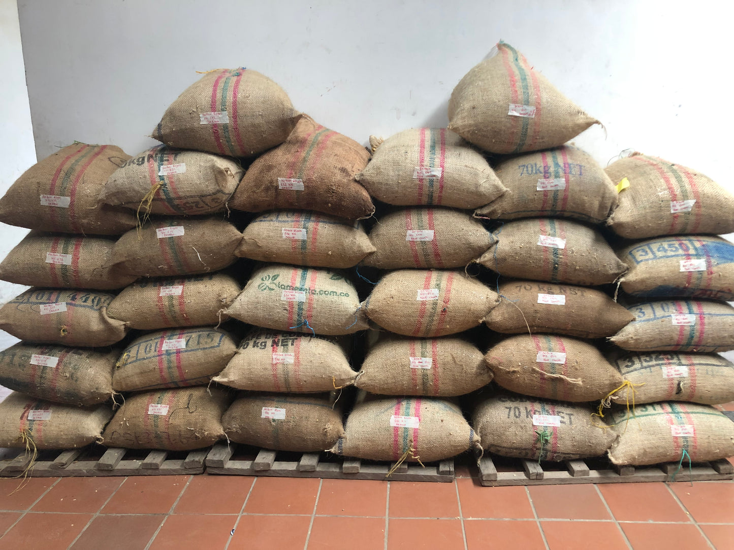 Colombia San Lorenzo