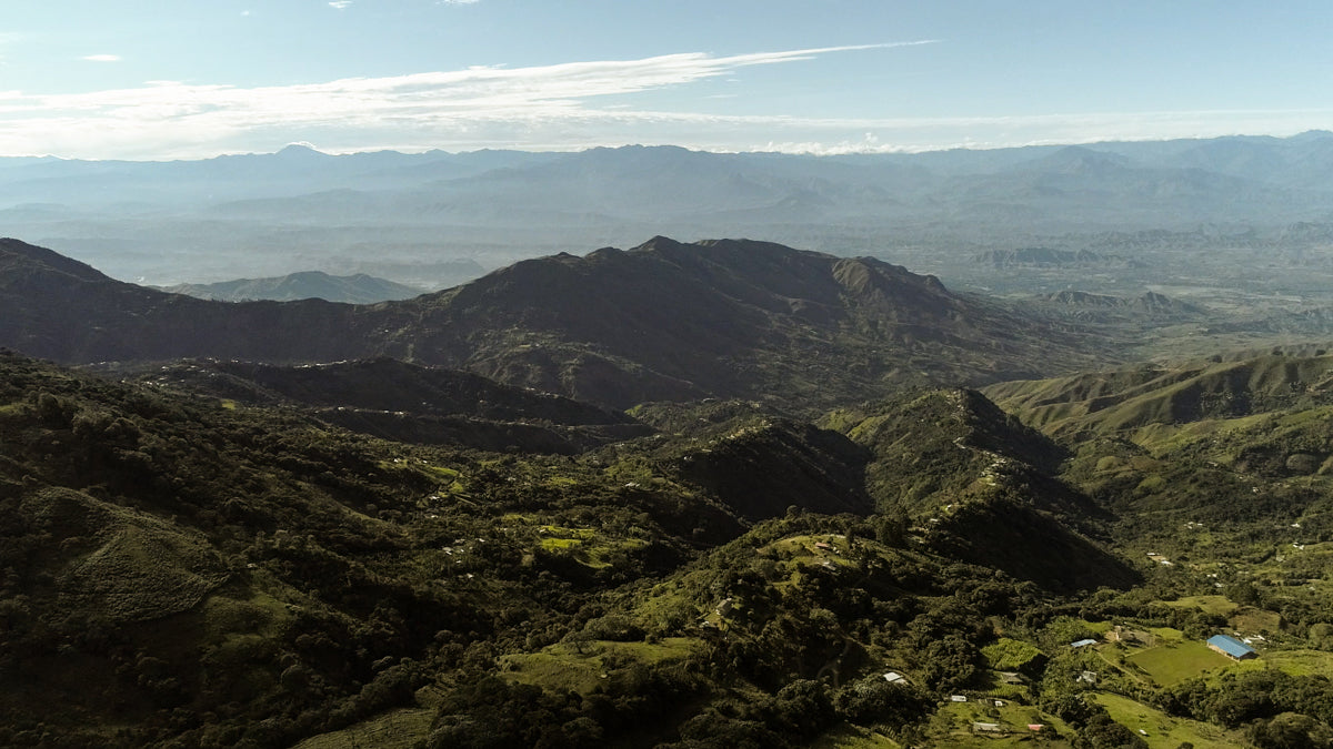 Colombia San Lorenzo